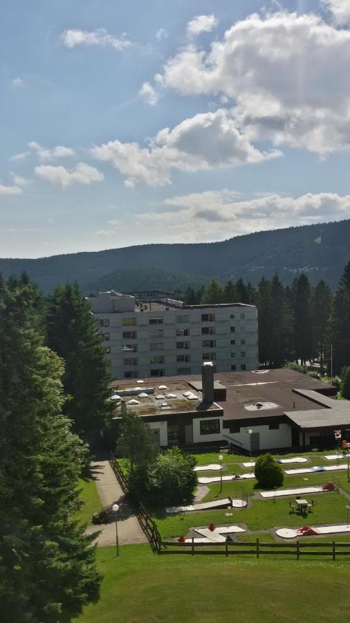 Bergwichtel Hahnenklee 
