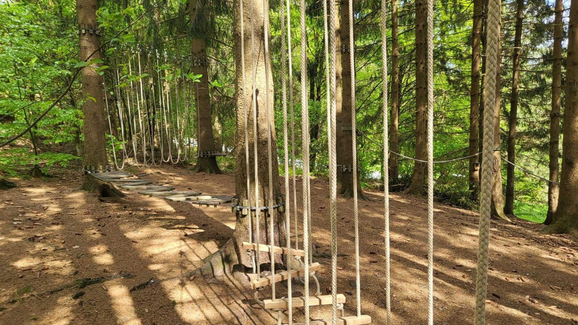 Bergwichtel * Goslar